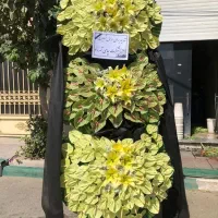 پایه فلزی فروژه تبریک نمایشگاه تاج گل