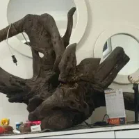 تعدادی وسایل منزل