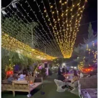 استخدام صندوق دار و سالن دار