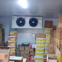 صفر تا صد سردخانه