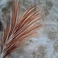 پارچه چادری و لباس مجلسی