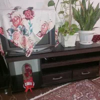 تلویزیون