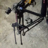 تنه دوچرخه