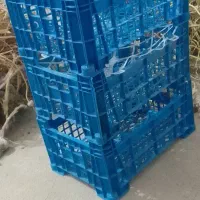 جعبه میوه سبد