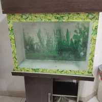 آکواریوم