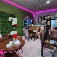 استخدام همکار خانم