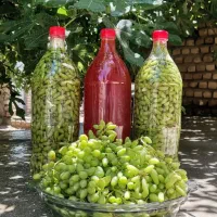 آبغوره و غوره شور