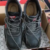 کفش کار عایق برق|کیف، کفش، کمربند|تهران, امیرآباد|دیوار