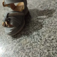 کفش مجلسی