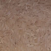 برنج هاشمی|خوردنی و آشامیدنی|سیروان, |دیوار