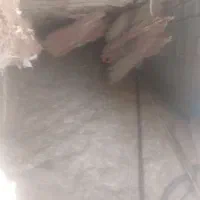 کاه گندم