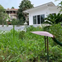 فروش زمین، ۵۵۰ متر، متل قو (سلمان شهر) دریاگوشه