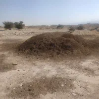 کود حیوانی (پِهِن بز )به فروش می رسد|خدمات باغبانی و درختکاری|گله دار, |دیوار