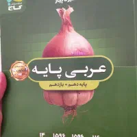 کتاب سیر تا پیاز عربی و انگلیسی جامع میکرو