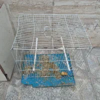 قفس،مرغ و خروس