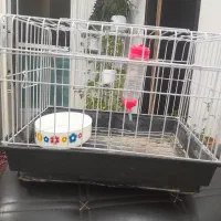 قفس خرگوش یا همستر