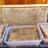 عسل کاملا طبیعی درمانی با برگه آزمایش تضمینی میدم