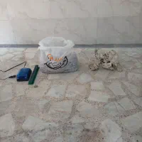 شیشه خمه آکواریوم همراه با متعلقات|ماهی|رشت, نظری|دیوار