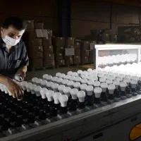 کارگر ساده فنی با جای خواب غذا|استخدام صنعتی، فنی، مهندسی|مشهد, شهرک امام هادی (شهرک غرب)|دیوار