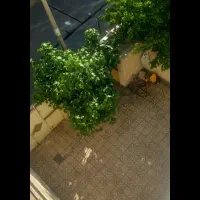 واحد80متری