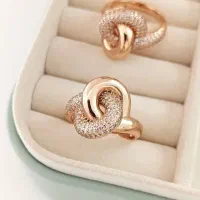 بدلیجات جانا میبد