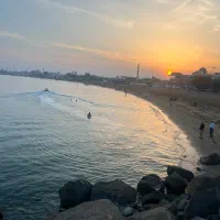 سراشپز و مدیر باسابقه رستوران و اشپز فست فود