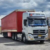 دانگ فنگ ۲۰۰۹ کشنده درجه ۱