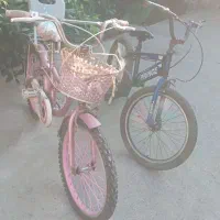 دوچرخه ۲۰  دانه ای ۲۵۰۰میلیون