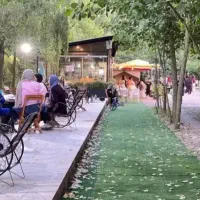 چیزی فراترازیک رویا