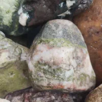 سنگ جواهری|کلکسیون اشیاء عتیقه|رشت, بازار|دیوار