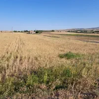 زمین ۶۴۵۰متر بر جاده اصلی