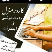 کار در منزل ویژه همه ی سنین