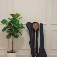 کاور های سه تار تار و کمانچه دوتار ضدآب ضدضربه