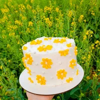 کیک خانگی طعم بهشت|خوردنی و آشامیدنی|مشهد, انصار|دیوار