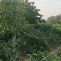 فروش باغ...چهار هزار متری داخل بافت عبدل آباد|فروش خانه و ویلا|بشاریات, |دیوار