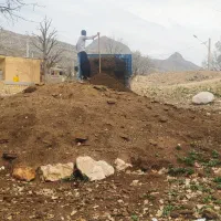 کود حیوانی