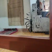 آیینه|آینه|تهران, اقدسیه (شهرری)|دیوار