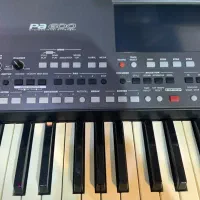 کرگ. P600.  درحد صفر