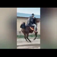 مادیون کرد ...باکره دوماهه