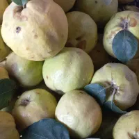 میوه به شیرین محلی کیلوی ۱۷۰