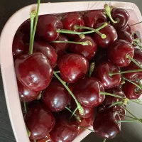 گیلاس