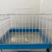 قفس خرگوش و خوکچه هندی و همستر