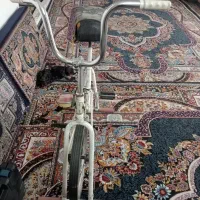 دوچرخه ثابت