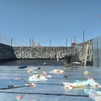 نصب ایزوگام وقیرگونی اجرتی وبامصالح|خدمات پیشه و مهارت|خوی, |دیوار