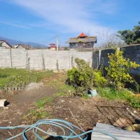 زمینی به مساحت 350 متر اوشیان|فروش زمین و ملک کلنگی|چابکسر, |دیوار