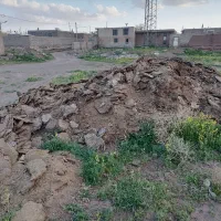 کود گوسفند سوخته چندساله برا خوراک زمین