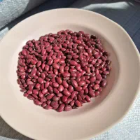 لوبیا قرمز درجه ۱|خوردنی و آشامیدنی|شیراز, گلشن|دیوار