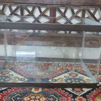 اکواریوم شیشه خم شرکتی