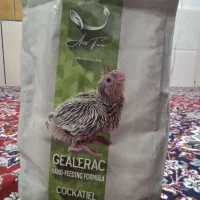 سرلاک عروس پاریس