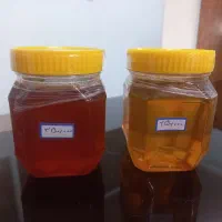 معجون ارده، عسل، شیره توت تبریز درجه یک|خوردنی و آشامیدنی|رشت, پیرکلاچای|دیوار